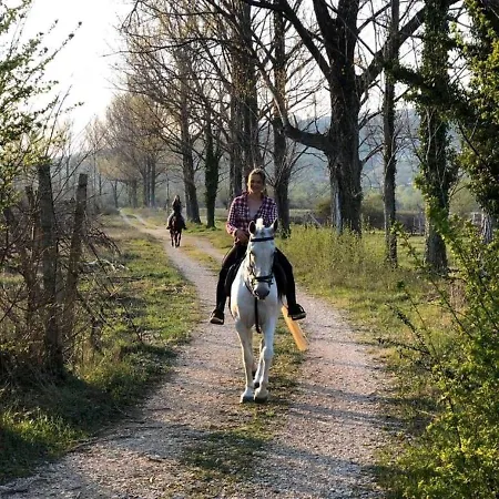 House Buljanovi Dvori With Private Pool *