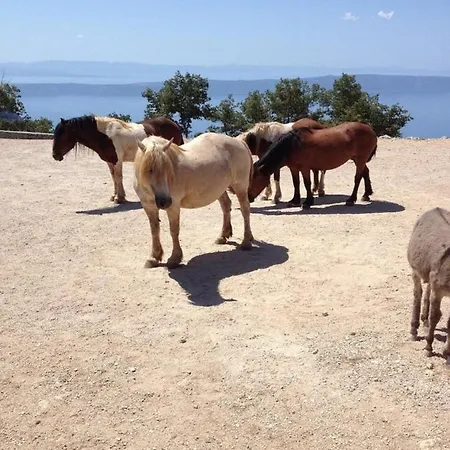 House Buljanovi Dvori With Private Pool בית נופש *